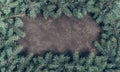 Christmas dark grunge background, fir twigs, top view. Royalty Free Stock Photo