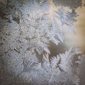 Winter Holidays Season Fantasy World Concept: Colourful Macro Image Of A Frosty Window Glass Natural Ice Patterns With Copy Space Royalty Free Stock Photo