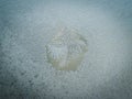 Winter Holidays Season Fantasy World Concept: Macro Image Of A Frosty Window Glass Natural Ice Patterns With Copy Space Royalty Free Stock Photo