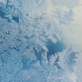 Winter Holidays Season Fantasy World Concept: Macro Image Of A FWinter Holidays Season Fantasy World Concept: Macro Image Of A Blu Royalty Free Stock Photo