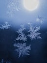 Winter Holidays Season Fantasy World Concept: Macro Image of Natural Ice Crystals Patterns on a Blue Frosted Window Pane With Sun Royalty Free Stock Photo