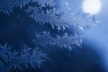 Winter Holidays Season Fantasy World Concept: Macro Image of Natural Ice Crystals Patterns on a Blue Frosted Window Pane With Sun Royalty Free Stock Photo