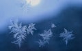 Winter Holidays Season Fantasy World Concept: Macro Image of Natural Ice Crystals Patterns on a Blue Frosted Window Pane With Sun Royalty Free Stock Photo