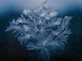 Winter Holidays Season Fantasy World Concept: Macro Image of Natural Ice Crystals Patterns on a Frosted Window Pane. Hoarfrost Royalty Free Stock Photo