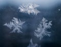 Winter Holidays Season Fantasy World Concept: Macro Image of Natural Ice Crystals Patterns on a Frosted Window Pane. Hoarfrost Royalty Free Stock Photo