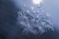 Winter Holidays Season Fantasy World Concept: Macro Image of Natural Ice Crystals Patterns on a Frosted Window Pane With Sun Glow Royalty Free Stock Photo