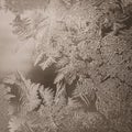Winter Holidays Season Fantasy World Concept: Vintage Macro Image Of A Frosty Window Glass Natural Ice Patterns With Copy Space Royalty Free Stock Photo