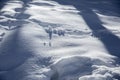 Close up of Snow with shadow forest and mountains for a ski typical resort wellness winter