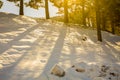 Sunset with Snow, forest and mountains for a ski typical resort wellness winter