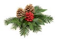 Winter Holly Berry Decoration Royalty Free Stock Photo