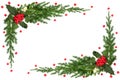 Winter Holly Berry Mistletoe Ivy Fir Christmas Background Border