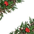 Winter Holly and Cedar Cypress Background Border Royalty Free Stock Photo