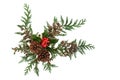 Winter Holly Cedar Cypress and Pine Cone Decoration Royalty Free Stock Photo