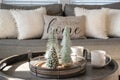 Winter home decor