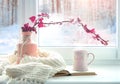 Winter home romantic icon.Valentine card.Mug with knits and book on window sill