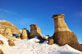 Winter hoodoos field