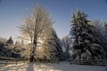 Winter Horse Pasture Royalty Free Stock Photo