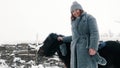 winter horse ride. horseback riding at winter. Happy, smiling woman , holds a little pony by the bridle. family Royalty Free Stock Photo