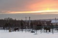 In winter, the horses walked on their fenced territory