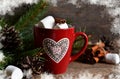 Winter hot drink-hot chocolate with marshmallows in a red bowl Royalty Free Stock Photo
