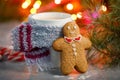 Winter hot drink christmas background.Holiday cocoa cup home gingerbread cookie on a table. Xmas beverages concept.New year cocoa Royalty Free Stock Photo