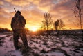 Winter hunting for hares at sunrise. Hunter moving With Shotgun