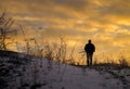 Winter hunting at sunrise. Hunter moving With Shotgun