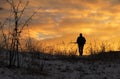 Winter hunting at sunrise. Hunter moving With Shotgun