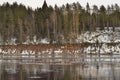 winter ice drift river at sunset