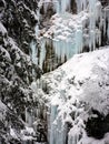 Winter ice and snow wonderland in wild nature in the Alps