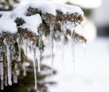 Winter ice storm freezing temperatures