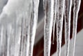 Winter icicles