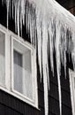 Winter icicles Royalty Free Stock Photo