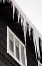 Winter icicles