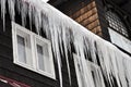 Winter icicles