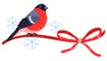 Winter illustration of bird bullfinch and ribbon. Merry Christmas and Happy New Year card.