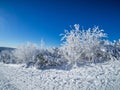 Winter Impression in Germany fichtelberg