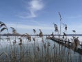 Winter impressions at Pilsensee lake, Bavaria, Germany