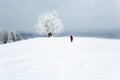 Winter inclement snowy landscape Royalty Free Stock Photo