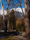 Winter in Innsbruck park