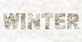 Winter inscription with the texture of snow and wood Royalty Free Stock Photo