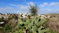 Winter in Israel. City Modiin.