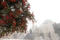 Winter in Istanbul Royalty Free Stock Photo