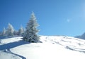 Winter in the Italian Appennines Royalty Free Stock Photo