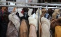 Winter jackets fur coat hanging for sale in flea markets Royalty Free Stock Photo