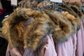 Winter jackets with fur collars hanging on plastic hangers in a store Royalty Free Stock Photo