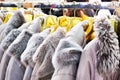 Winter jackets with grey fur collars in clothing store Royalty Free Stock Photo