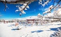 Winter Japanese garden in Almaty Royalty Free Stock Photo