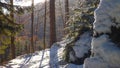 Winter in jizerske hory ridge in czech republic