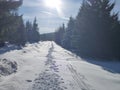 Winter in jizerske hory ridge in czech republic